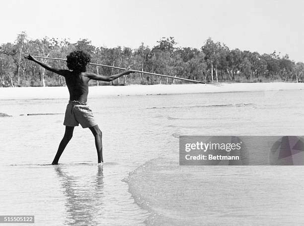 An aboriginal aims his three-pronged spear at a fish at the beach in Australia's Northern Territory.