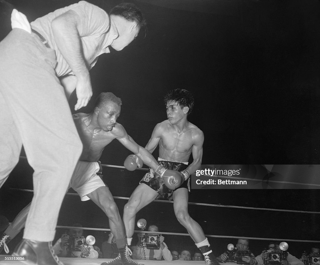 Sandy Saddler Boxing Against Gabriel Elorde