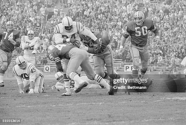 Baltimore Colts' Lenny Moore fumbles the ball on his own 48 yard line as he is hit hard by a duo of 49ers in first quarter of game here 10/31. Making...