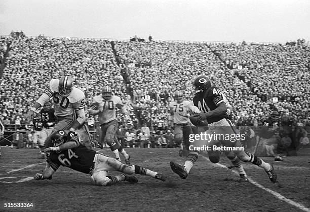 Chicago Bears HB Gale Sayers races past 49ers on his way to touchdown after taking in pass from QB Rudy Bukich during the fourth quarter of the game...