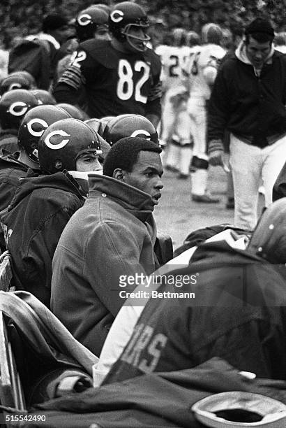 Gale Sayers, star halfback of the Chicago Bears, sits on the bench as he watches his team battle the Atlanta Falcons. Sayers tore ligaments and...