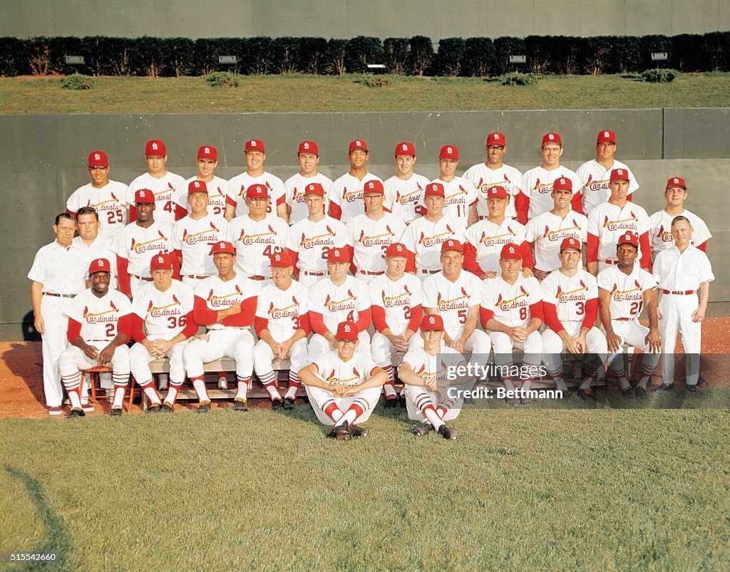 Saint Louis Cardinals Team Portrait