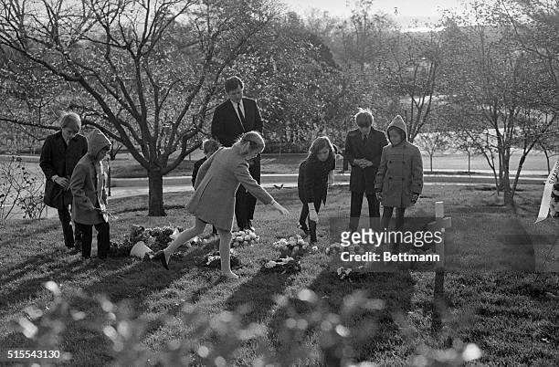 Senator Edward M. Kennedy , accompanied by two of his children and five of his brother's, Robert, spread flowers over the grave of the late New York...