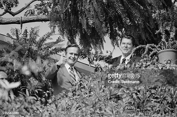 Pacific Palisades, California: President elect Ronald Reagan and Vice president elect George Bush greet newsmen from among the trees and shrubs at...