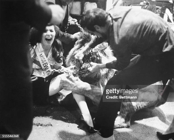 Model Nell Theobald cries out as the lion with which she was posing for promotion photos inside the New York Coliseum bites and claws at her leg...