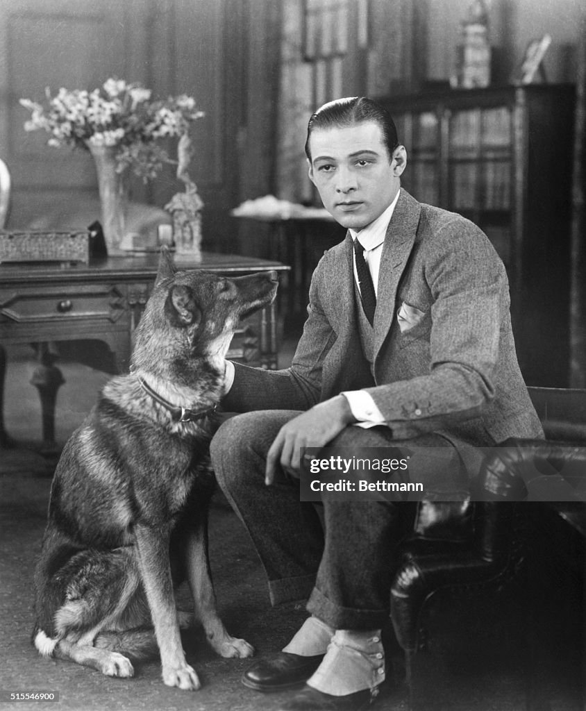 Actor Rudolph Valentino Posing with His German Dog