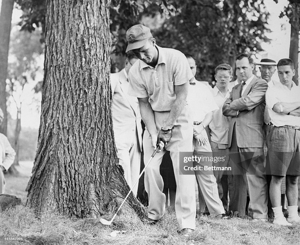Arnold Palmer Shooting Beneath Tree