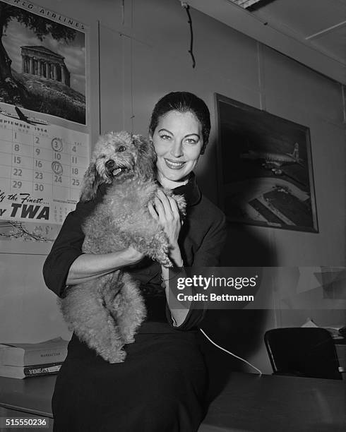 Screen star Ava Gardner is shown with her poodle on her arrival at idlewild airport today after a two-week tour of South America during which she...