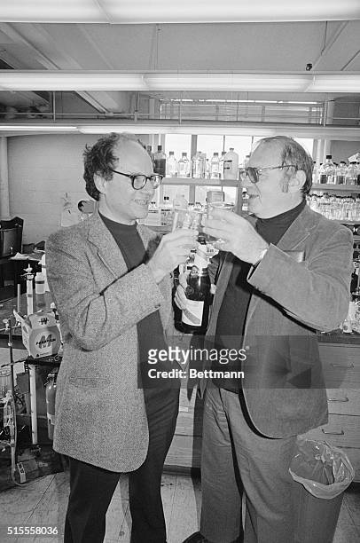 Cambridge, Mass: Harvard University Bio-Physics professor Walter Gilbert and co-worker professor Jack Strominger drink champagne from lab beakers...