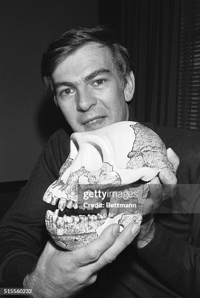 Anthropologist Donald Johanson, discoverer of the oldest fossil bones of erect walking humans on record, displays a plaster-cast skull of a female...