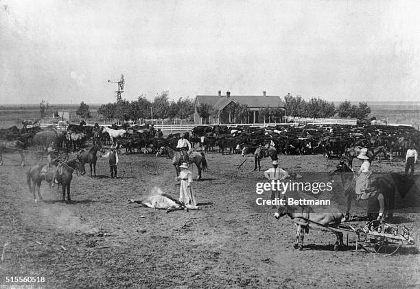 Jwl Ranch 23 Jw Ranch Photos & High Res Pictures - Getty Images