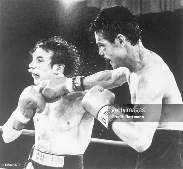 October 3, 1981 - Atlantic City, New Jersey: WBC Lightweight Champion Alexis Arguello of Managua slams a hard right into the face of challenger Ray...