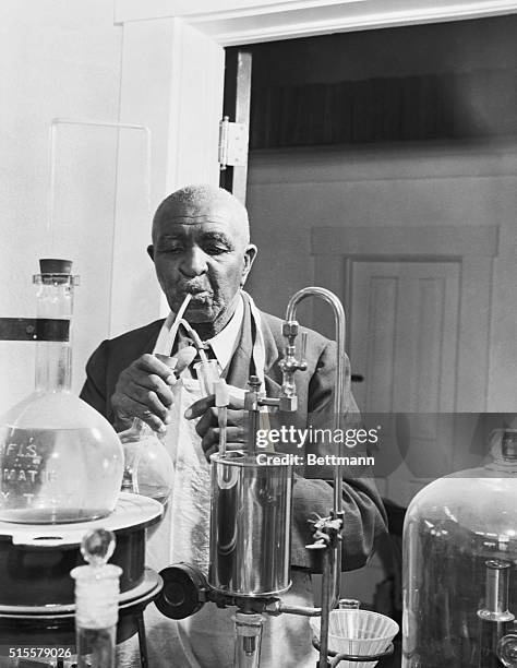 George Washington Carver experimenting in the lab. Undated photograph.