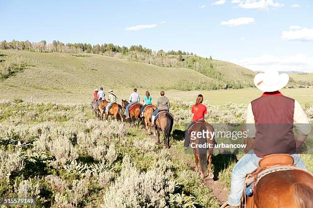horseback rides - trail ride stock pictures, royalty-free photos & images