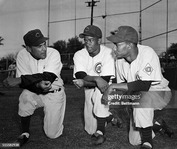 Chicago Cubs manager Phil Cavaretta talks strategy with shortstop Ernie Banks and second baseman Gene Baker at the Cubs' training camp in Mesa,...