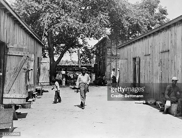 Washington, D.C.: Here is a typical camp of migratory farm workers- in this case, bean workers -in Delaware. This camp holds 30 persons. A hundred...