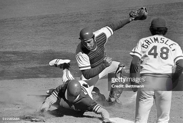 Cincinnati, Ohio: Oakland's Dick Green is nailed at the plate in 2nd inning trying to score from second base on Bert Campaneris's single to the left...