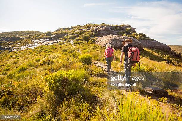 senior couple bushwalking in spectacular blue mountains australian landscape - female bush photos stockfoto's en -beelden