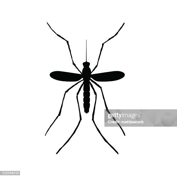 mosquito illustration - malaria stock illustrations