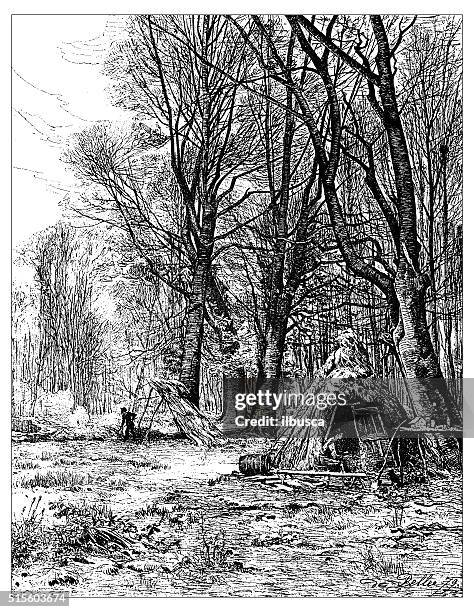 antique illustration of forest with huts - man shed stock illustrations