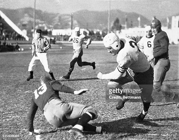 Tiny "Cotton" Warburton ventured into a forest gridiron giants at the Gilmore Stadium & in the forest were the burly Chicago Bears. The Bears won the...