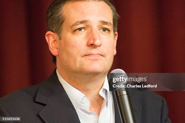 Senator Ted Cruz speaks at a campaign rally on March 14, 2016 in Decatur, Illinois. The Illinois primary is March 15.