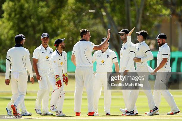 Chris Tremain of the Bushrangers celebrates with team mates after taking the wicket of Daniel Hughes of the Blues during day one of the Sheffield...