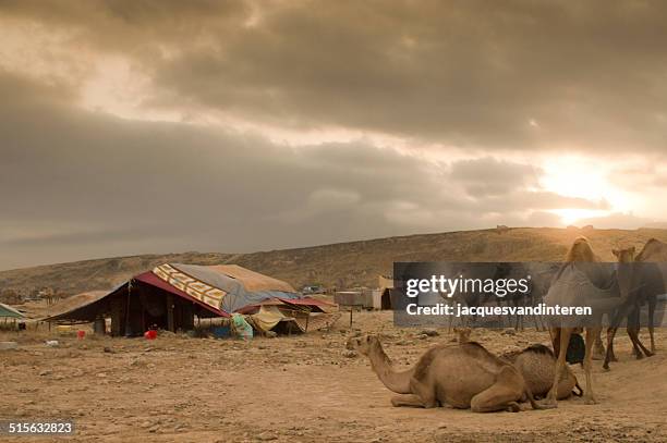 sunset in a bedu camp - arabian tent stock pictures, royalty-free photos & images