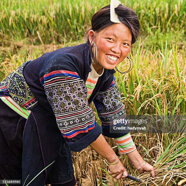 vietnamita minoría personas-mujer de black hmong hill tribe of noise - minoría miao fotografías e imágenes de stock