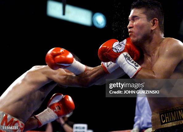 Eric Ricker Boxer Flyweight Champion Eric Morel, of Madison, Wisconsin lands a right to ...