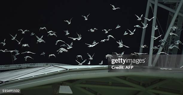 Seagulls take flight from the roof of the rectangular stadium during the AFC Champions League group stage football match between Melbourne Victory...