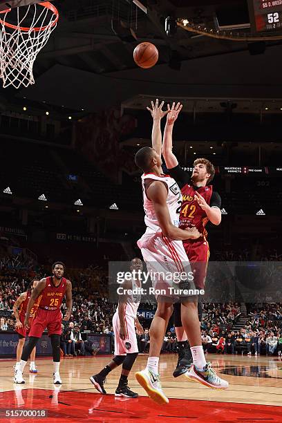 Shayne Whittington of the Fort Wayne Mad Ants shoots the ball against the Toronto Raptors 905 during the NBA D-League game on March 14 at the Air...