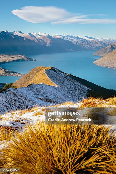 lake wakatipu seen from ben lomond saddle. - lake wakatipu stock pictures, royalty-free photos & images