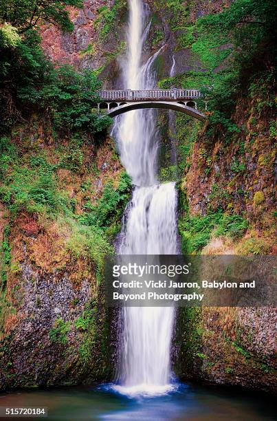 classic multnomah falls on the oregon side of the columbia river gorge - bridges to babylon tour stock pictures, royalty-free photos & images