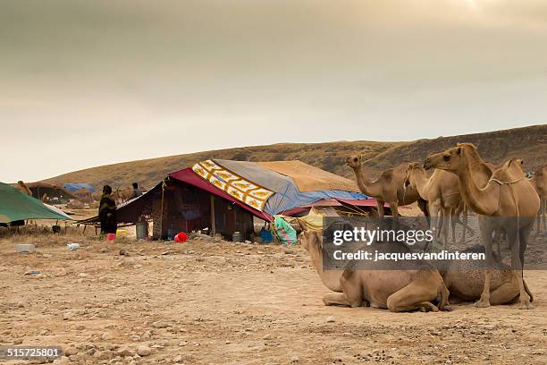 bedu camp in the plains of dhofar, oman - bedouin tent stock pictures, royalty-free photos & images