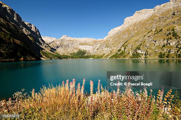 lake of tseuzier - crans montana stock pictures, royalty-free photos & images