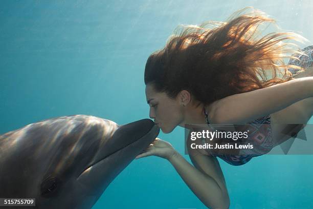 young woman kisses dolphin underwater, sunbeams - delfine stock-fotos und bilder