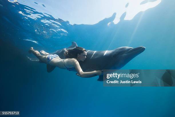 dolphin and young woman swimming side by side - swimming with dolphins stock pictures, royalty-free photos & images