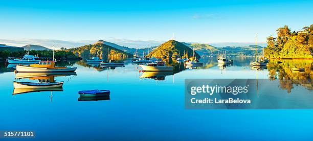 port chalmers - dunedin foto e immagini stock