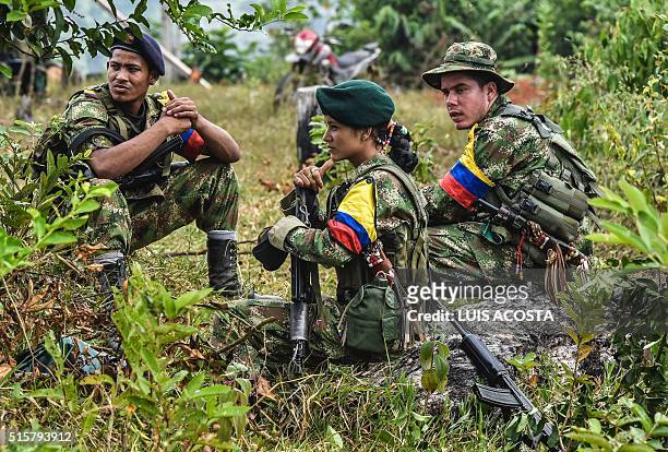Revolutionary Armed Forces of Colombia members rest at a camp in the Magdalena Medio region, Antioquia department, Colombia on February 18, 2016....