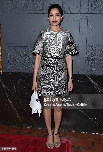 Actress Freida Pinto arrives at the premiere of Broad Green Pictures' 'Knight Of Cups' on March 1, 2016 in Los Angeles, California.