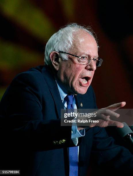 Democratic presidential candidate Sen. Bernie Sanders speaks to a crowd gathered at the Phoenix Convention Center during a campaign rally on March...