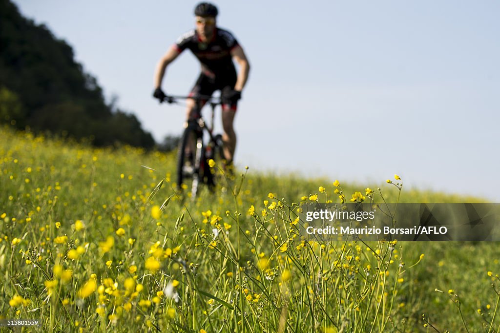 Man riding mountain bike in nature in the Bologna countryside, Italy