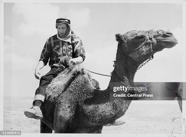 Actor Peter O'Toole in costume and riding a camel, on the set of the film 'Lawrence of Arabia', Jordan, April 12th 1961.