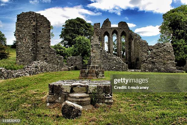 inch abbey - county down stock pictures, royalty-free photos & images
