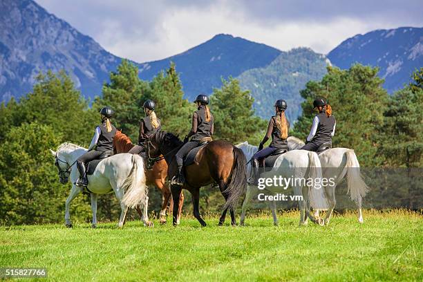 horseback riding in the countryside - horse riding group stock pictures, royalty-free photos & images