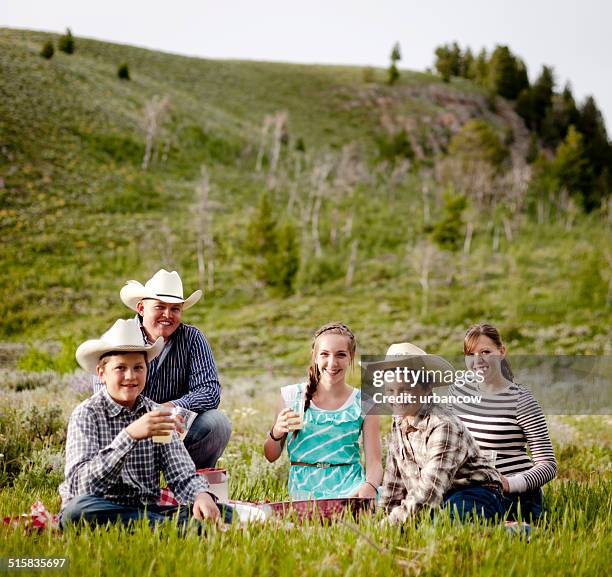 montana family picnic - montana western usa stockfoto's en -beelden