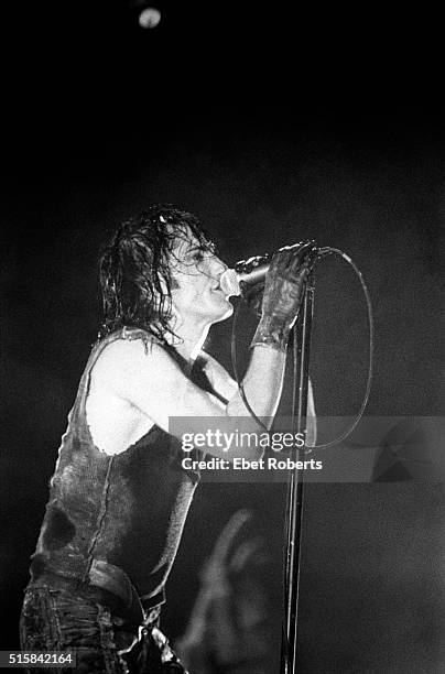 Trent Reznor performing with Nine Inch Nails at Madison Square Garden in New York City on December 9, 1994.