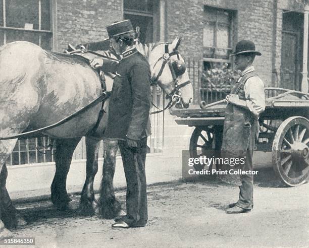 Inspector examining a horse, circa 1903 . The Royal Society for the Prevention of Cruelty to Animals was founded in 1824 at 77-78 St Martin's Lane,...