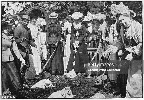 Judging cats at the Royal Botanic Gardens show, Kew, London, circa 1900 . Harrison Weir arranged the first formal cat show in England in 1871 at the...